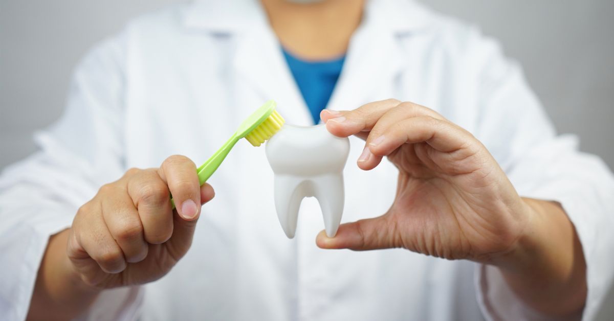 Dentist demonstrating proper tooth brushing technique using a model tooth